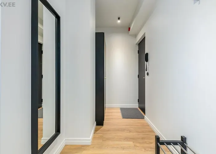 Cozy Center With Gym & Terrace * 塔林