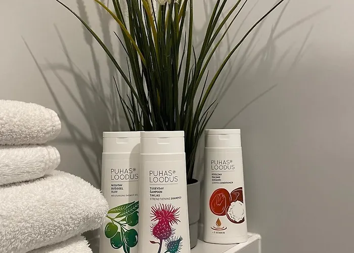 Cozy Center With Gym & Terrace Апартаменты Таллин